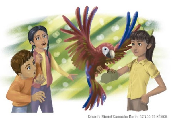 Ilustración del libro de texto oficial