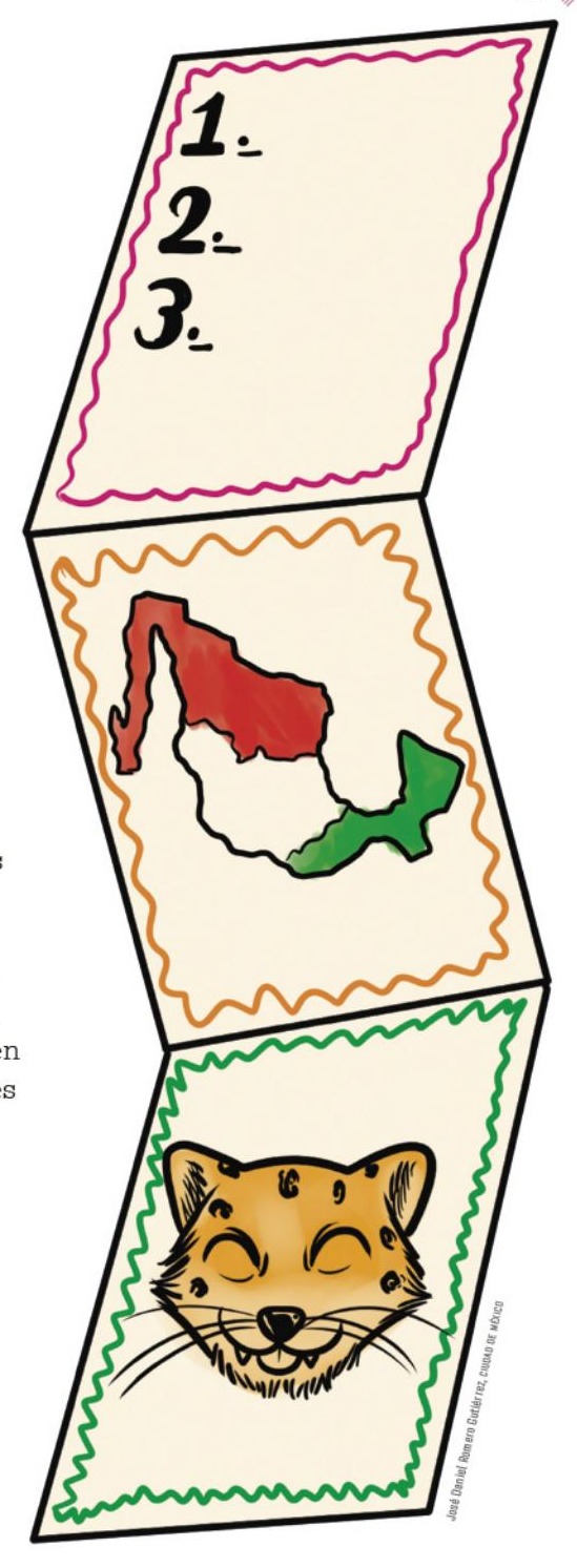 Ilustración del libro de texto oficial