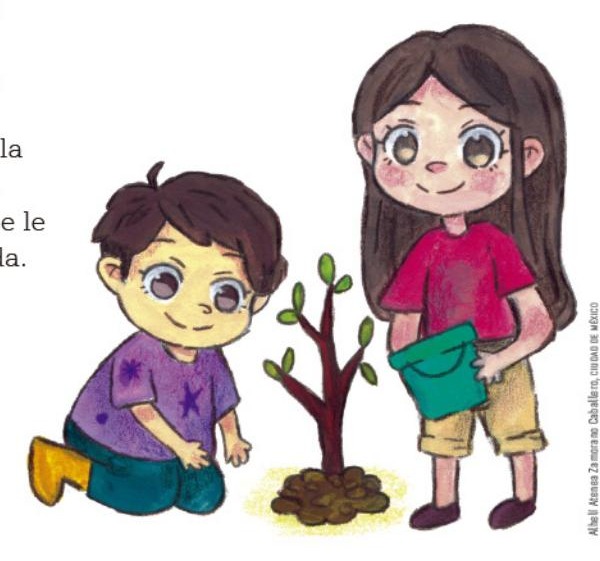 Ilustración del libro de texto oficial