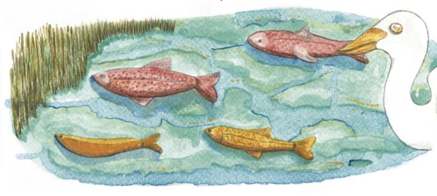 Ilustración del libro de texto oficial