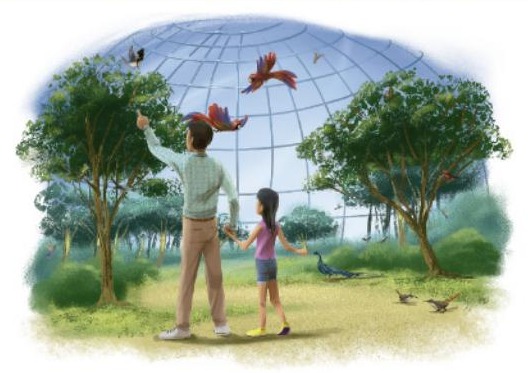 Ilustración del libro de texto oficial