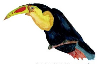 Ilustración del libro de texto oficial