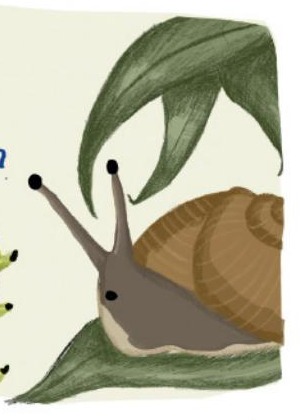 Ilustración del libro de texto oficial