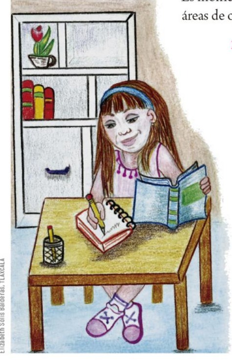 Ilustración del libro de texto oficial