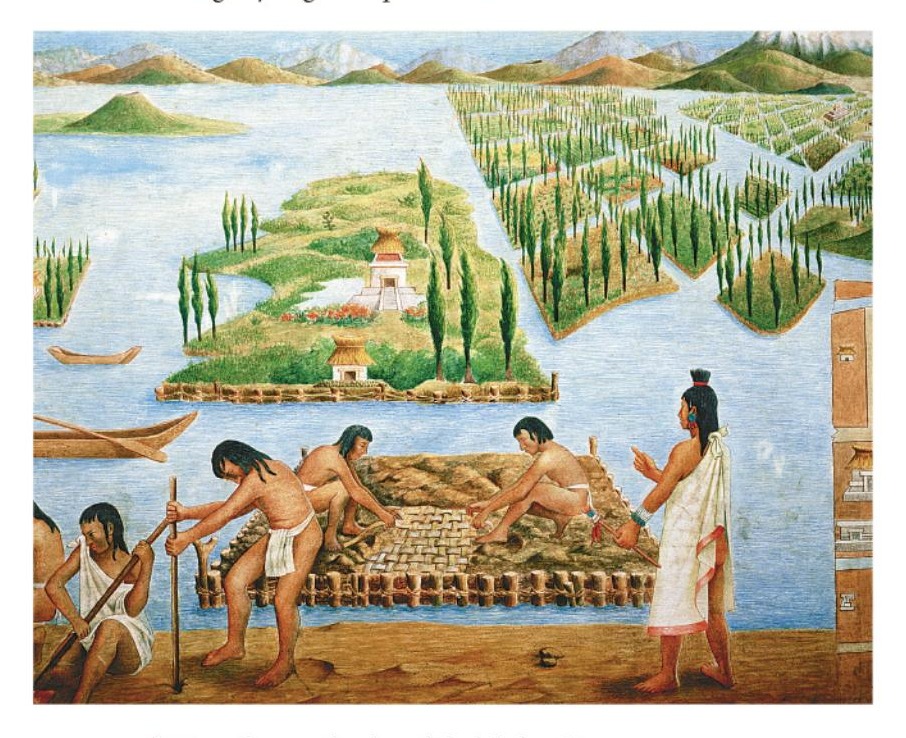 Ilustración del libro de texto oficial