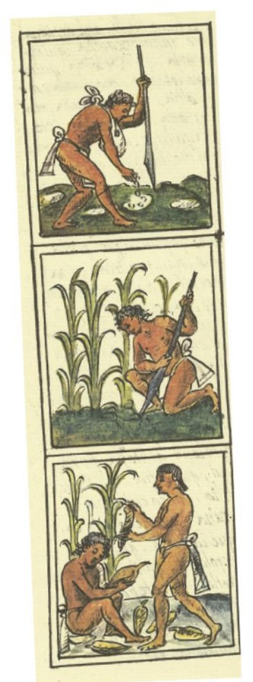 Ilustración del libro de texto oficial