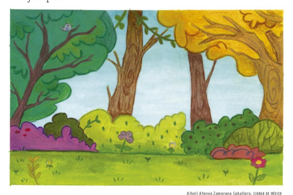 Ilustración del libro de texto oficial