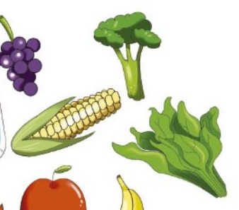 Ilustración del libro de texto oficial