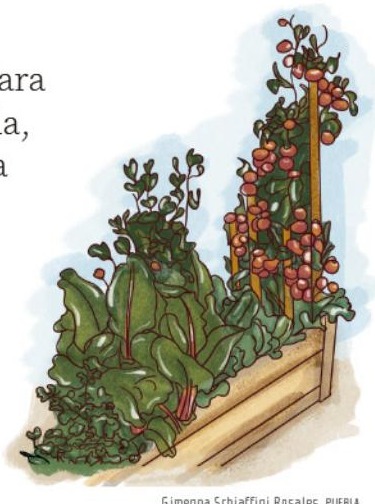 Ilustración del libro de texto oficial