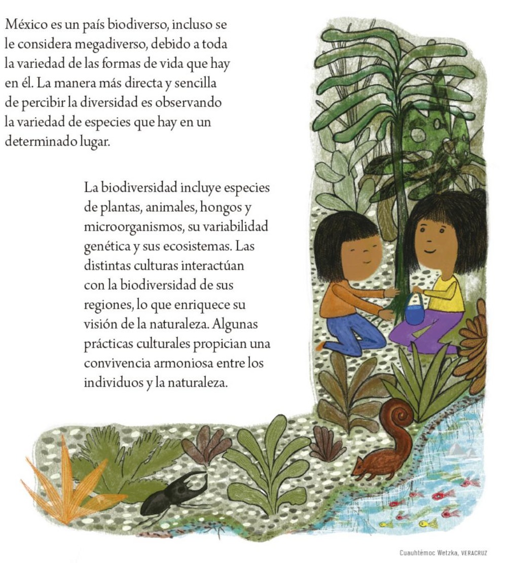 Ilustración del libro de texto oficial