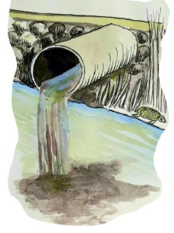 Ilustración del libro de texto oficial