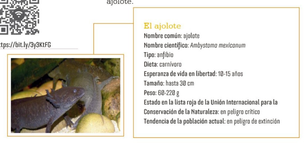 Ilustración del libro de texto oficial