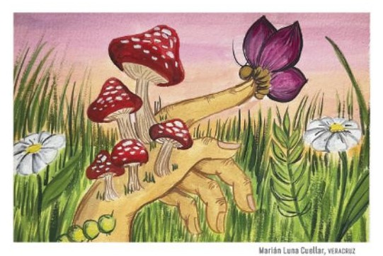 Ilustración del libro de texto oficial