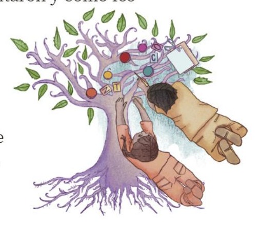 Ilustración del libro de texto oficial