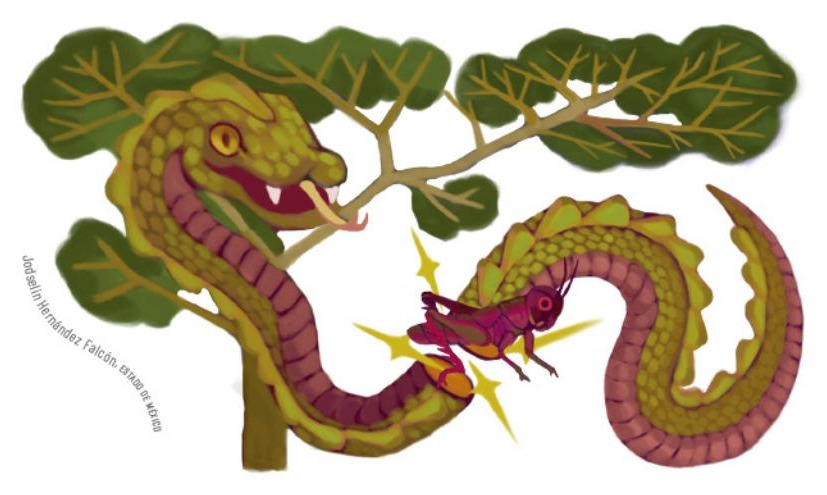 Ilustración del libro de texto oficial