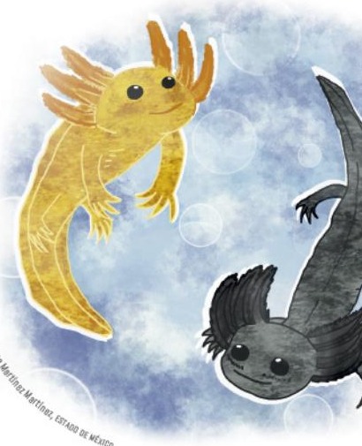 Ilustración del libro de texto oficial