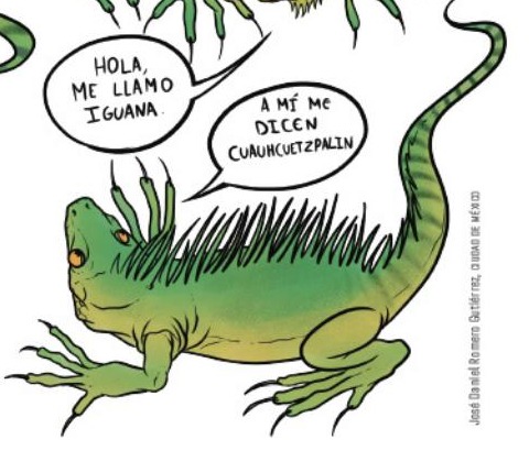 Ilustración del libro de texto oficial