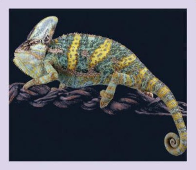 Ilustración del libro de texto oficial