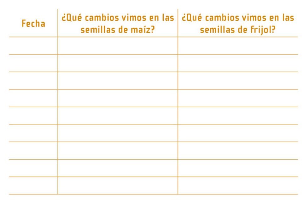 Ilustración del libro de texto oficial