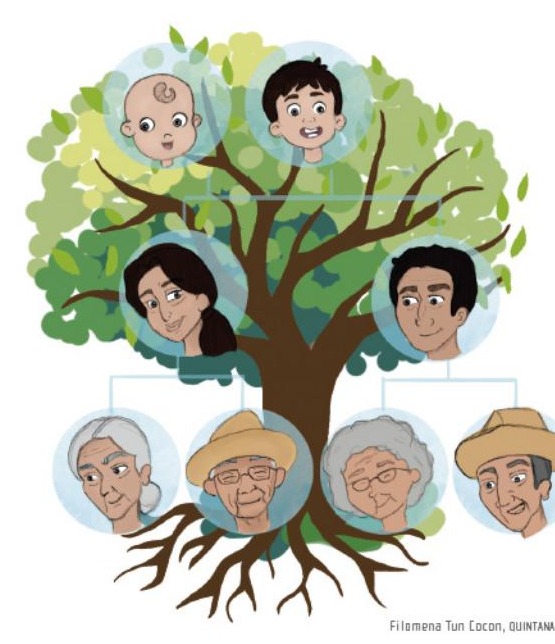 Ilustración del libro de texto oficial
