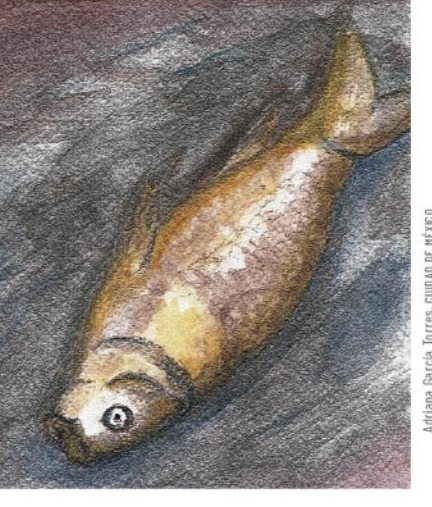 Ilustración del libro de texto oficial