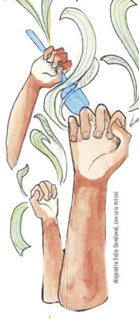 Ilustración del libro de texto oficial