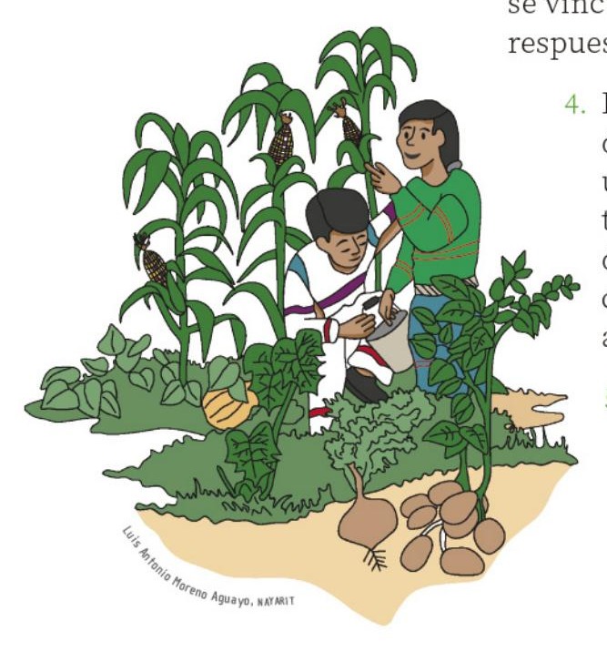 Ilustración del libro de texto oficial