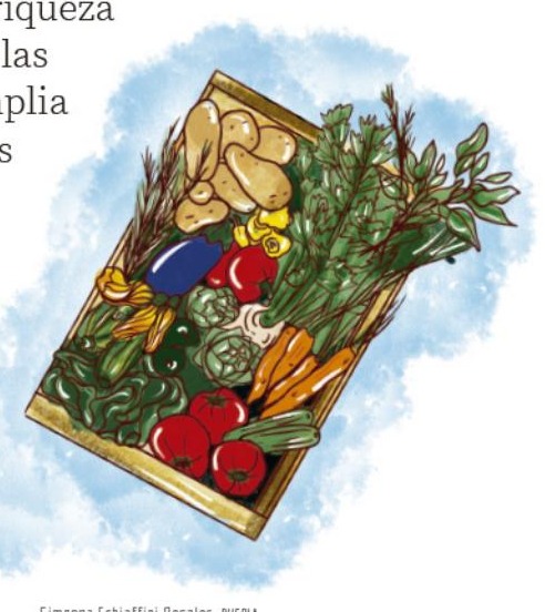 Ilustración del libro de texto oficial