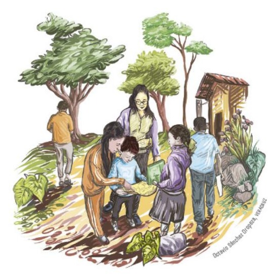 Ilustración del libro de texto oficial