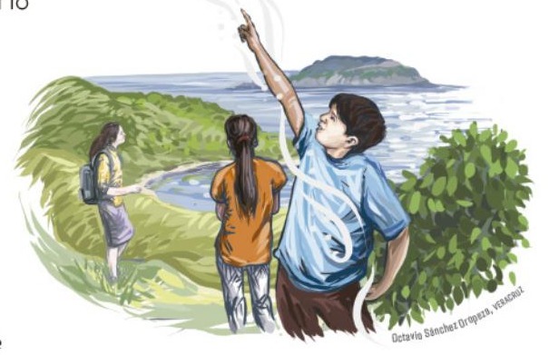 Ilustración del libro de texto oficial