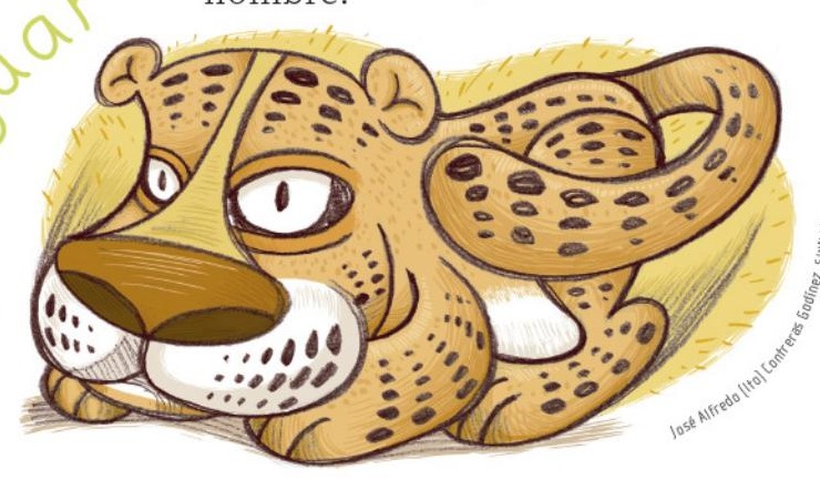 Ilustración del libro de texto oficial