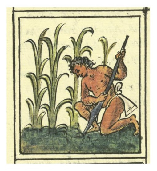 Ilustración del libro de texto oficial