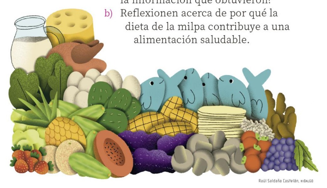 Ilustración del libro de texto oficial