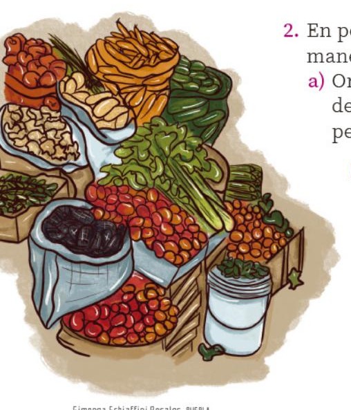Ilustración del libro de texto oficial