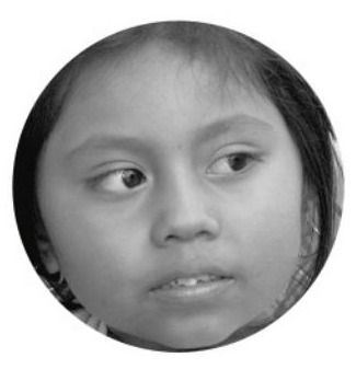 Ilustración del libro de texto oficial