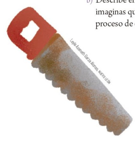 Ilustración del libro de texto oficial