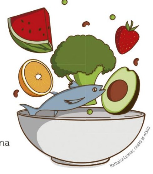 Ilustración del libro de texto oficial