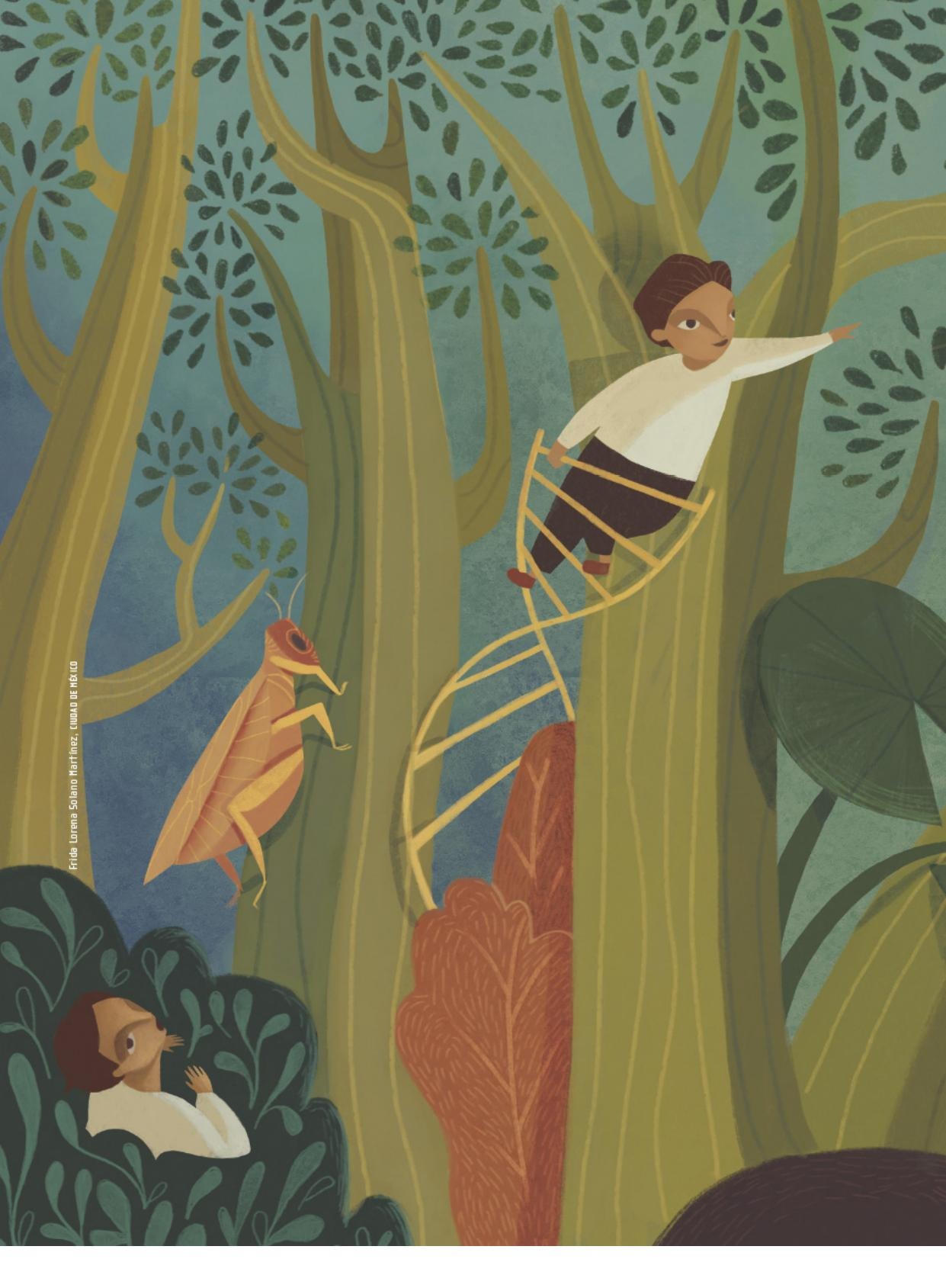 Ilustración del libro de texto oficial