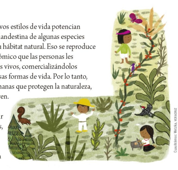 Ilustración del libro de texto oficial