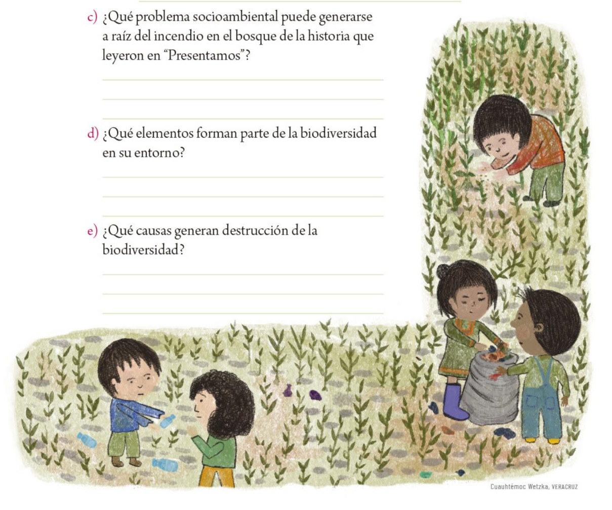 Ilustración del libro de texto oficial
