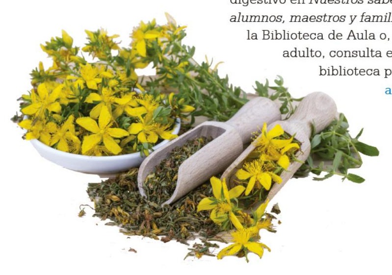 Ilustración del libro de texto oficial