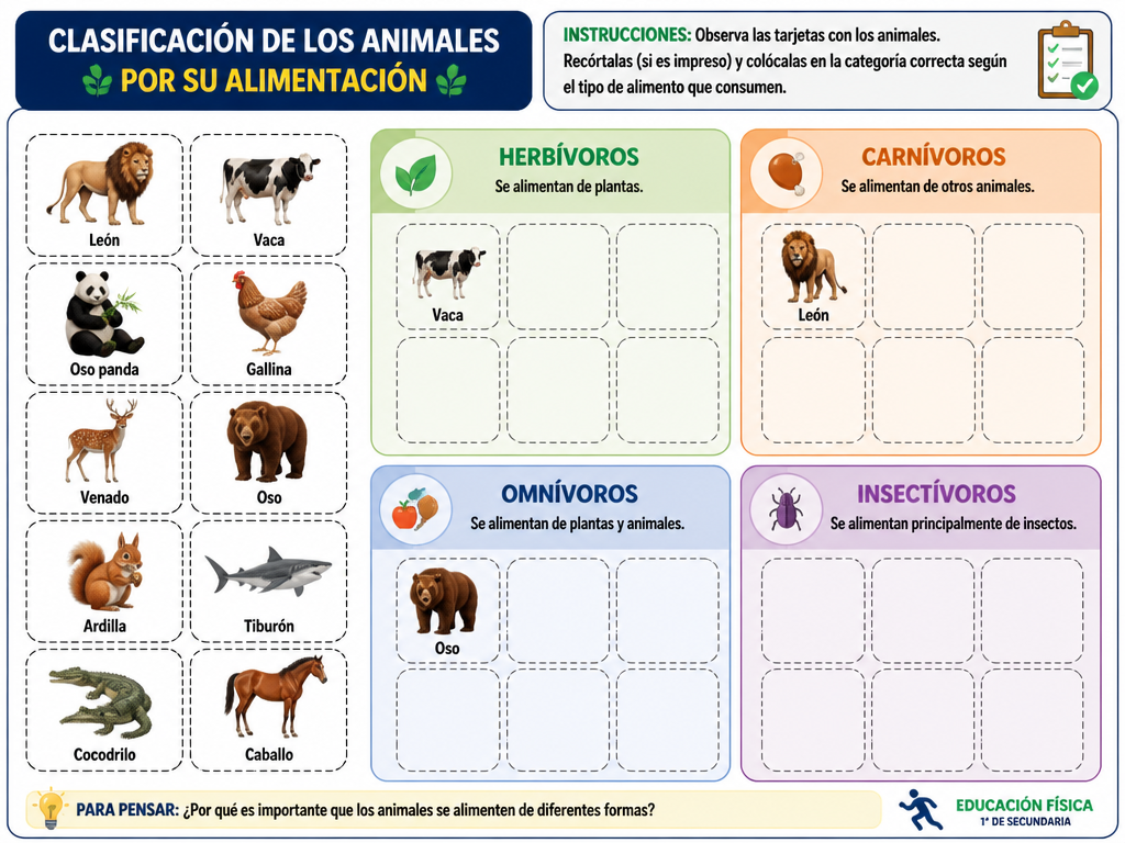 Clasificación de los Animales por su Alimentación