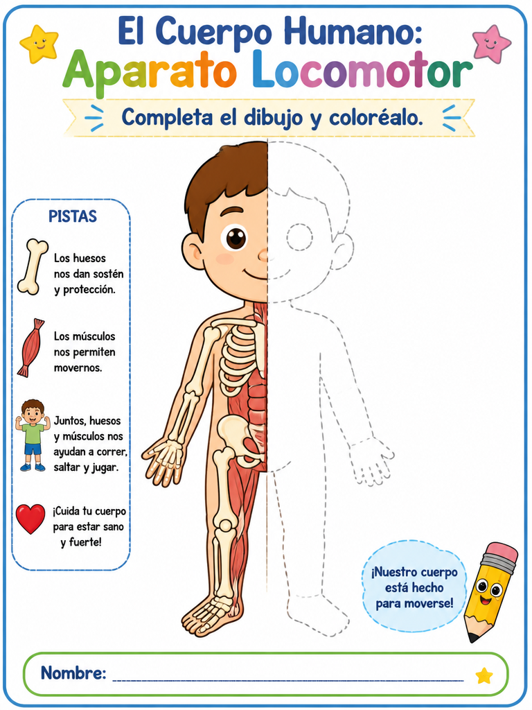 El Cuerpo Humano: Aparato Locomotor