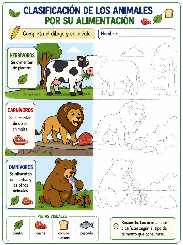 Clasificación de los Animales por su Alimentación
