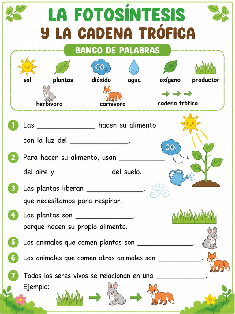 La Fotosíntesis y la Cadena Trófica