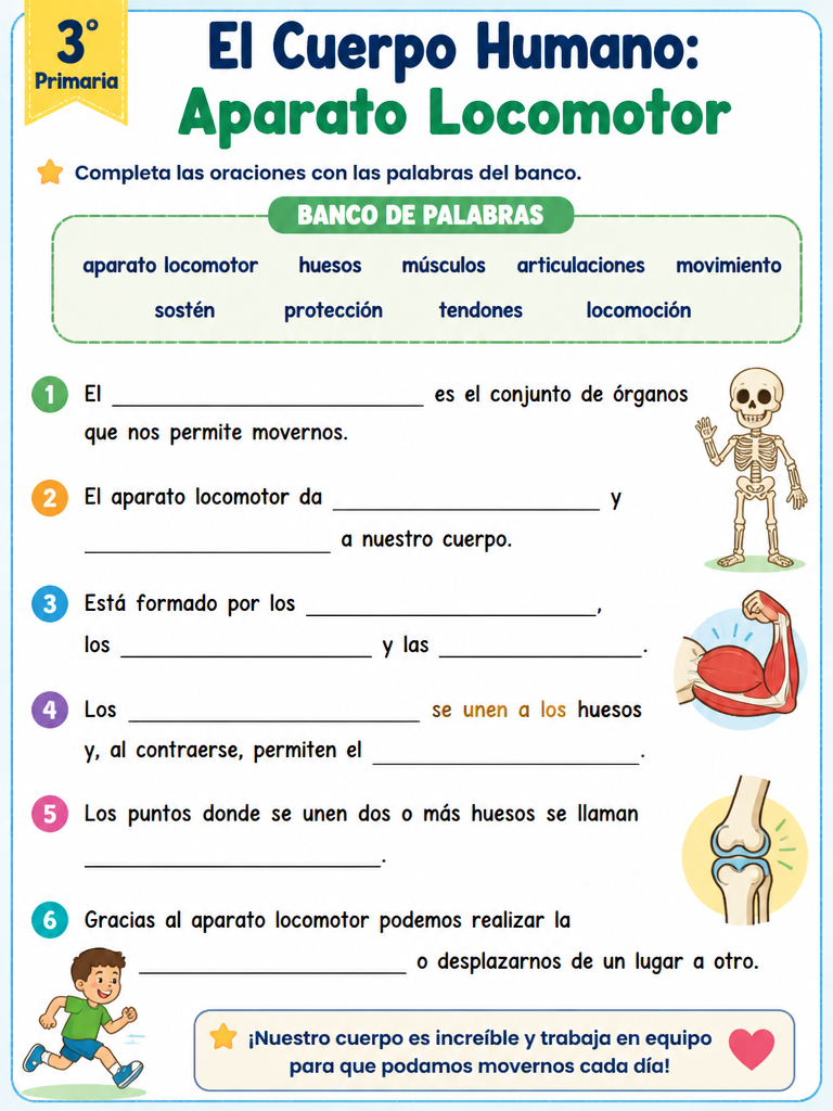 El Cuerpo Humano: Aparato Locomotor