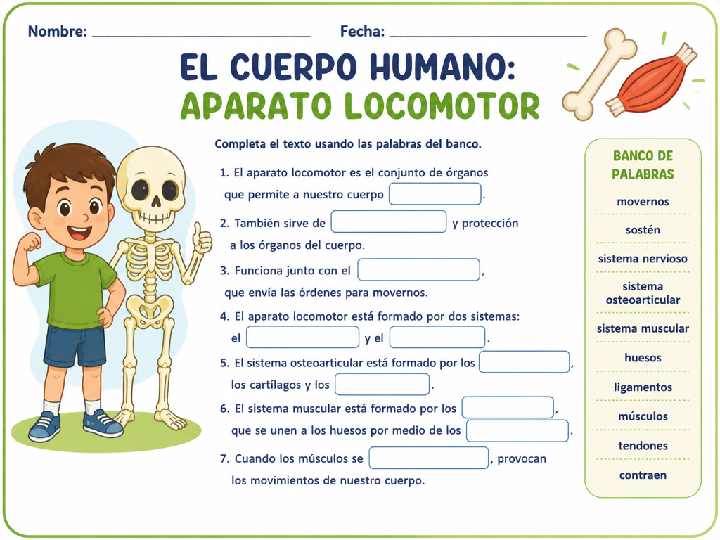 El Cuerpo Humano: Aparato Locomotor