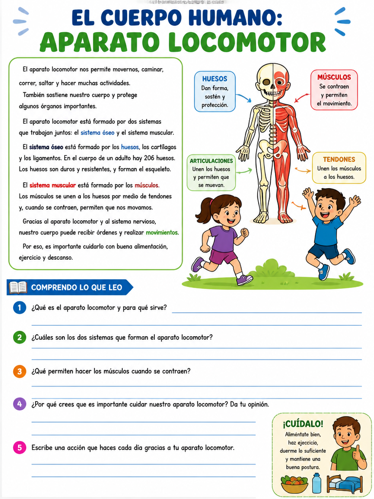 El Cuerpo Humano: Aparato Locomotor