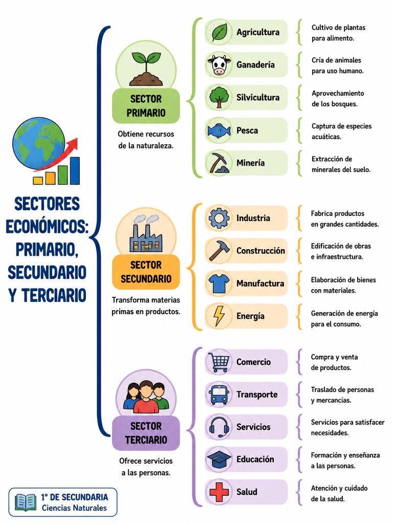 Sectores Económicos: Primario, Secundario y Terciario