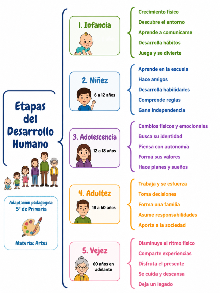 Etapas del Desarrollo Humano